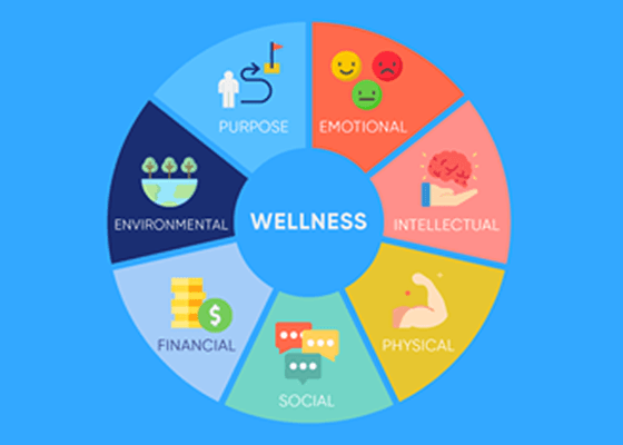 What is in for an employee in a Wellness Program